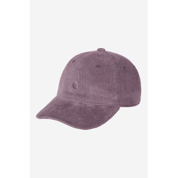 Harlem Cap Phlox / Phlox